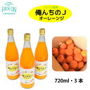 【ふるさと納税】012-9 【プレミアムクラフトオレンジジュース】いたくら農園 俺んちのJオーレーンジ 720ml×2本 / オレンジ みかん 無添加 テロワール 100％ オレンジジュース 静岡県