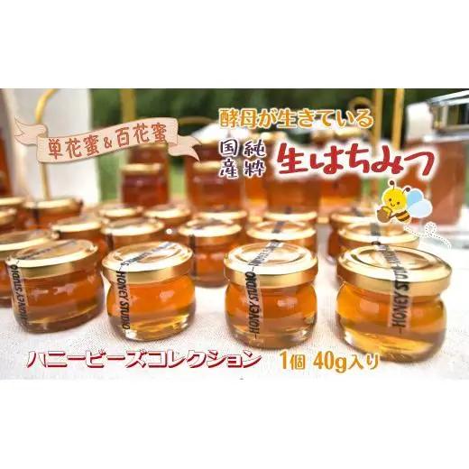 国産純粋生はちみつ ハニービーズコレクション“しろいの季節” 40g お試しサイズ 純粋はちみつ 非加熱 添加物なし 百花蜜 単花蜜 国産はちみつ 生はちみつ100% 美味しい