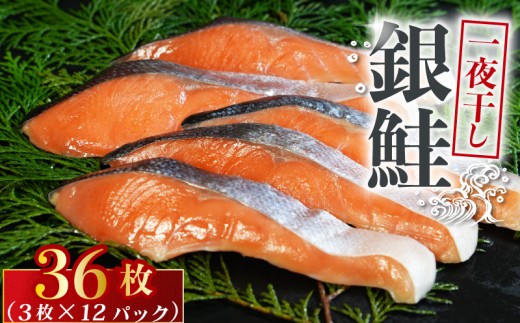 銀鮭 一夜干し 36枚 （12パック×3枚）干物 ひもの さけ 鮭 魚 海鮮 おかず 酒 のあて おつまみ 弁当 塩 魚介 惣菜 食品 冷凍食品 グルメ 贈答 贈り物 プレゼント ギフト お取り寄せ ふるさと納税 送料無料 千葉県 銚子市 株式会社甲印小西商店