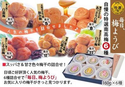 自家梅園産　完熟南高梅詰合せ「毎日梅ようび」　yokosho007