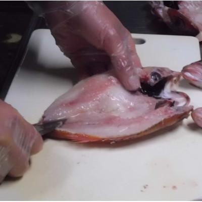 ふるさと納税 浜田市 山陰浜田　創業大正10年香住屋のこだわり干物「大のどぐろ一夜干し2尾入り約650g」 |  | 03