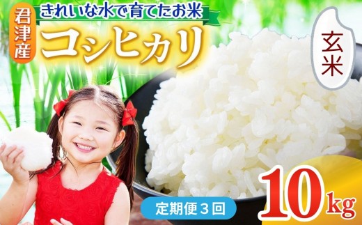 【 定期便 3回 】玄米 令和7年産 コシヒカリ 10kg きれいな水で育てたお米 | 保坂農場 げんまい ご飯 おにぎり 名水 おいしい水 ちばエコ農産物 君津市産 イチオシ 千葉 君津市 きみつ 房総