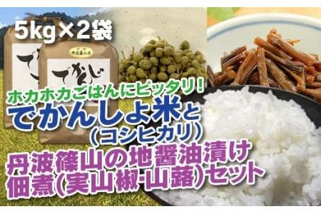 【令和6年産 新米！】丹波篠山の地醤油漬、佃煮セット　令和6年産 でかんしょ米5kg×２と実山椒・山蕗 AD26