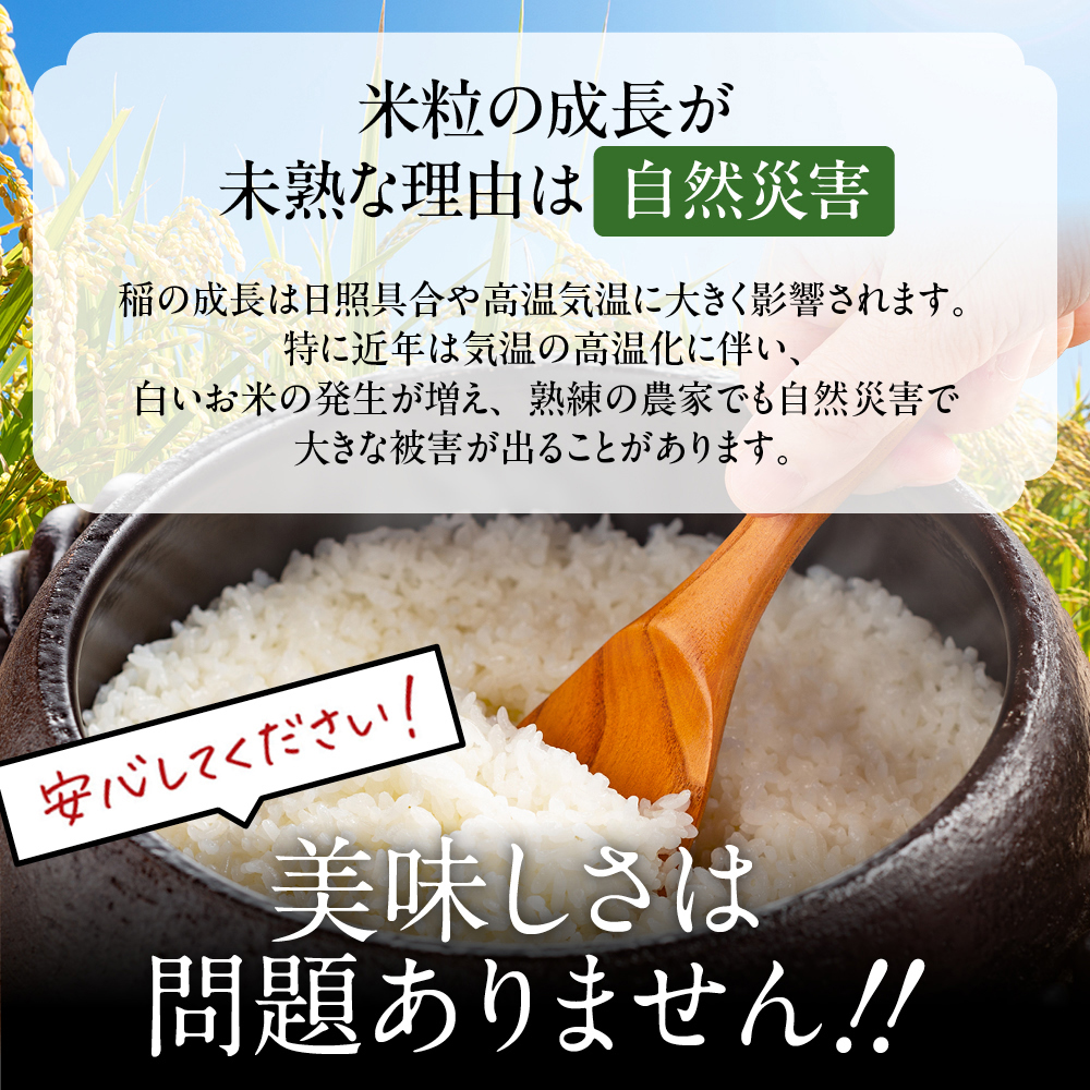 12-296 訳あり 北海道ブレンド米5kg