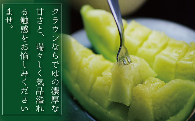 【3ヶ月定期便】クラウンメロン　規格外特大玉（約1.7kg）2玉入 果物類 メロン青肉 