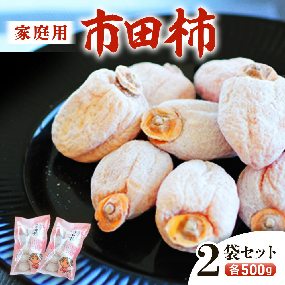 【ふるさと納税】＞＜先行予約＞信州の特産品「市田柿」家庭用500g×2袋セット＜2026年1月上旬～2月下旬発送＞