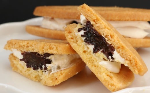 レーズンサンド 10個  ぶどう ブドウ 藤稔  洋菓子  神奈川 湘南 藤沢