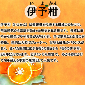 訳あり 伊予柑 5キロ 伊予柑 いよかん【KR005_x】
