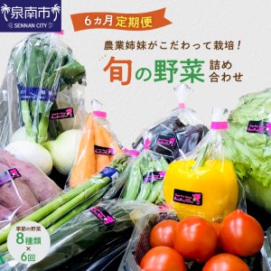 農業姉妹がこだわって栽培！旬の厳選野菜8種 半年定期便【024B-004】