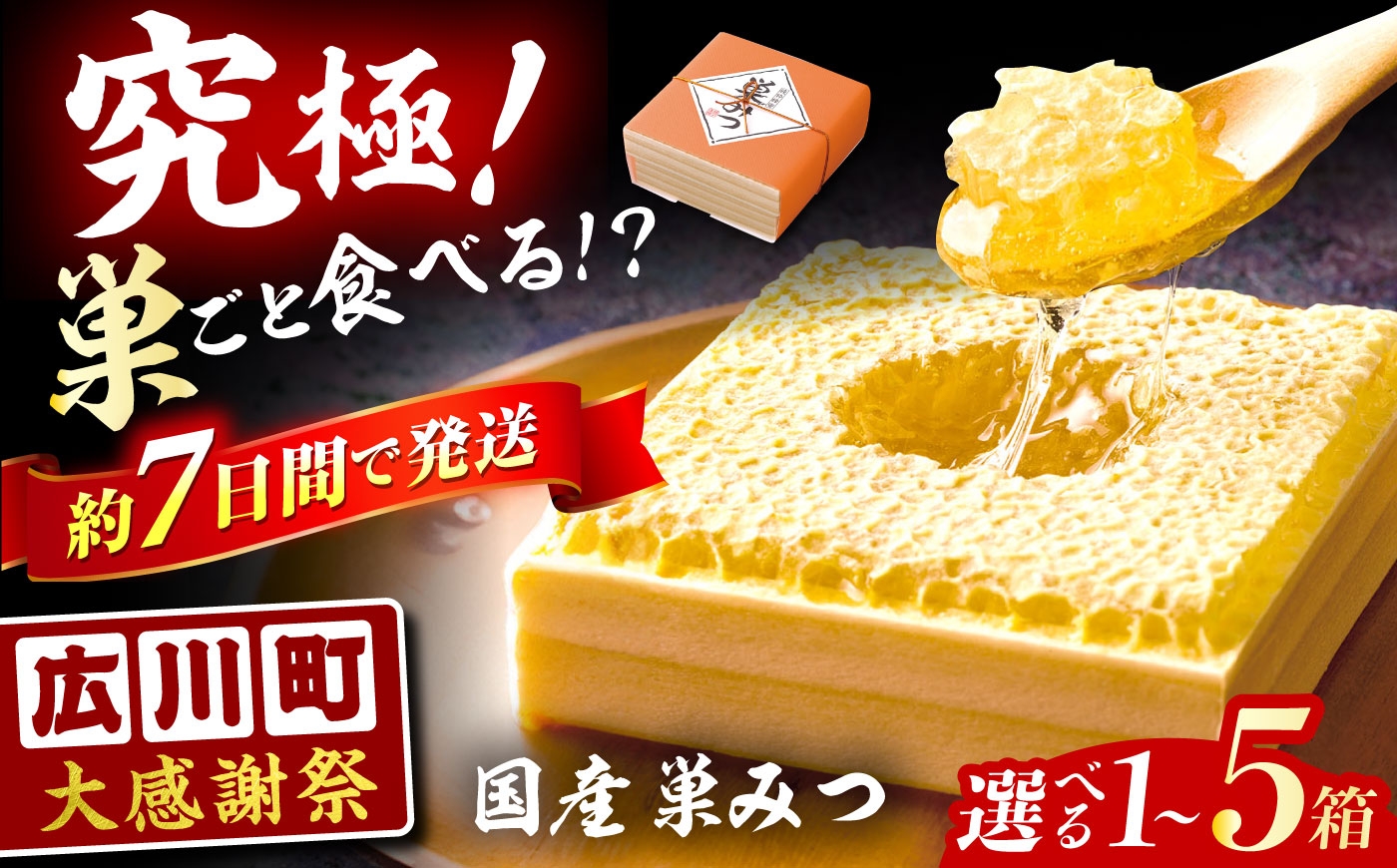 
                  【選べる箱数】はちみつ 国産 巣みつ 巣蜜 1箱～5箱 蜂蜜 はちみつ ハチミツ コムハニー 極上はちみつ 濃厚ハチミツ 国産蜂蜜 スピード配送 贈答 ギフト 広川町 / 株式会社九州蜂の子本舗 [AFAI004]
                