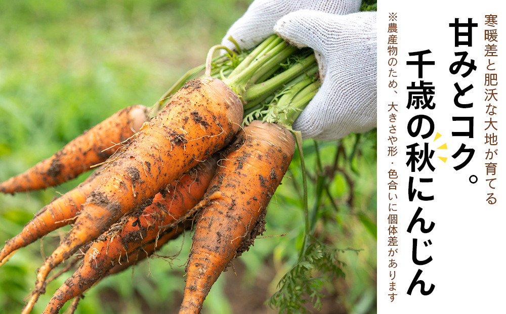 
            【2025年9月末より発送】北海道産 旬の秋ニンジン 10㎏ 【かねこ農園】
          