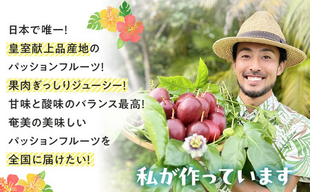 【2026年発送】《皇室献上品のパッションフルーツ》奄美大島瀬戸内町産　大玉12個入り／約1kg／希少な南国フルーツ／農園オリジナル化粧箱入り