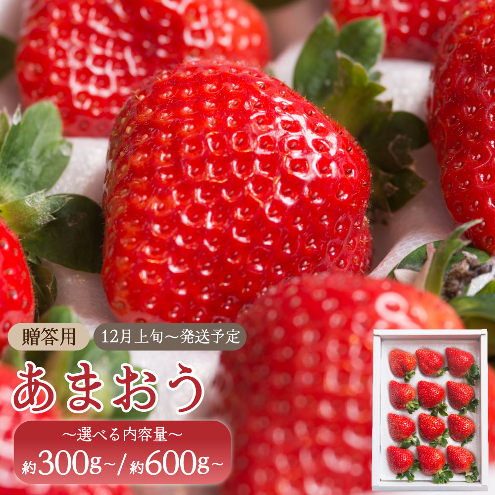 【ふるさと納税】＜選べる内容量＞【ギフト】あまおう 約300g または 約600g 贈答用 イチゴ いちご 苺 果物 くだもの フルーツ 福岡県産 九州 みやま市 予約 送料無料 A160 A161 【2026年12月上旬～2027年3月下旬発送予定】