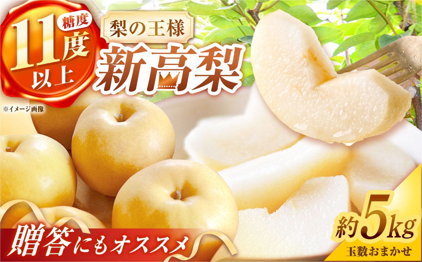
                  【シャリッと食感がたまらない！】新高梨 5kg (玉数おまかせ) 長崎県/株式会社 ふるさと企画 [42AMAG020]　梨 なし ナシ nashi 新高梨 旬 フルーツ 果物 くだもの 長崎 南島原 産地直送
                
