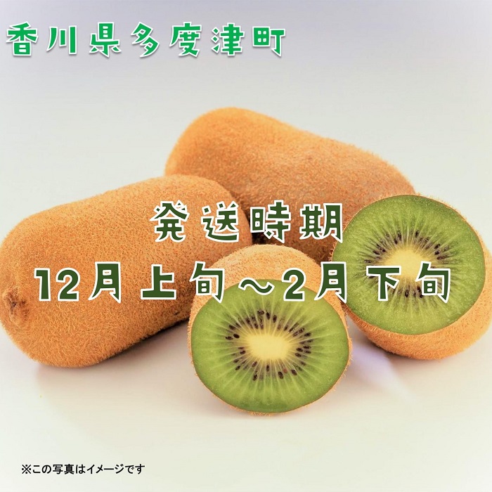 香川県オリジナルキウイフルーツ「香緑」約3.5kg【予約受付中！令和6年11月下旬頃から発送】【B-31】