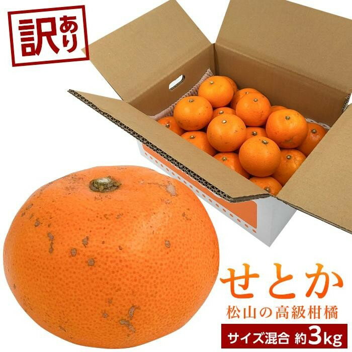 【ふるさと納税】 【2月中旬から発送】 訳あり 愛媛 みかん せとか 約3kg | 先行予約 柑橘 果物 くだもの フルーツ お楽しみ お取り寄せ グルメ 期間限定 数量限定 人気 おすすめ ギフト 愛媛県 松山市