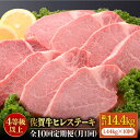 【ふるさと納税】【全10回定期便】佐賀牛ヒレステーキ180g×8枚 総計14.4kg 石丸食肉産業株式会社/吉野ヶ里町 [FBX020]