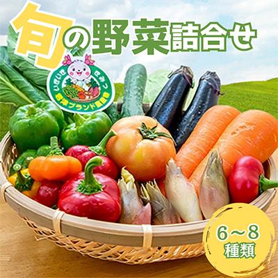 ふるさと納税 君津市 JAきみつ 旬の野菜詰合せ(6〜8種)