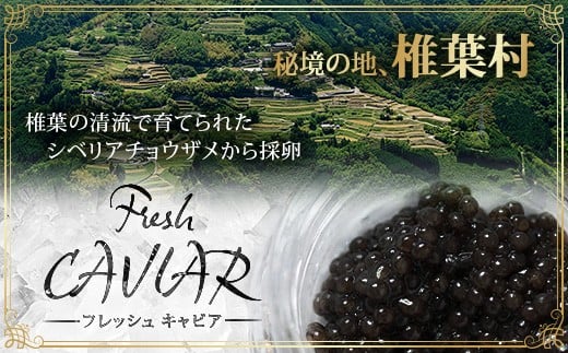 画像はイメージです