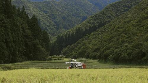 【令和5年産】厳選こだわり南魚沼産コシヒカリ　雪室貯蔵　「こまがた農園のお米」 ５kg