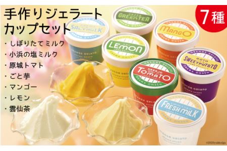 手作り ジェラートカップ セット [マルヤマ（オレンジジェラート） 長崎県 雲仙市 item2175] ジェラート アイス