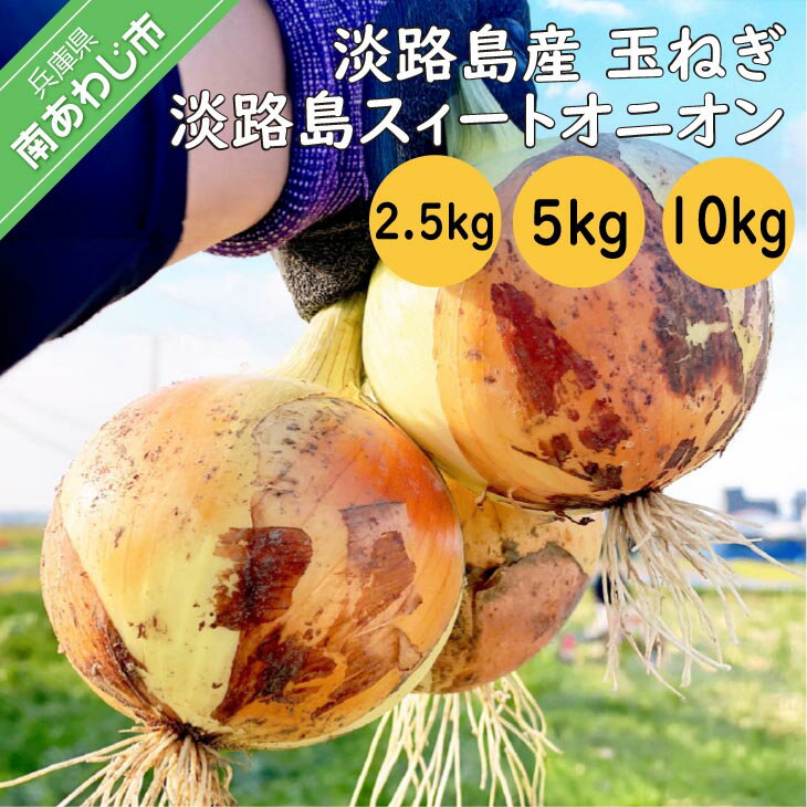 【ふるさと納税】淡路島スイートオニオン　淡路島産玉ねぎ【2.5kg・5kg・10kg】
