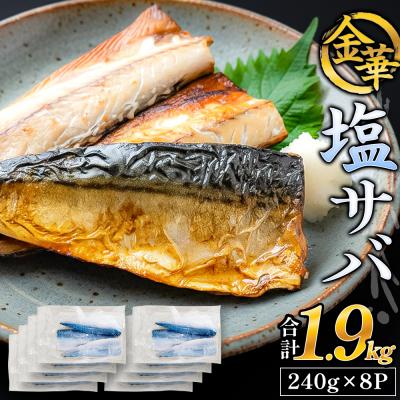 ふるさと納税 石巻市 金華 塩サバ 1.9kg ( 240g × 8p ) 金華さば サバ