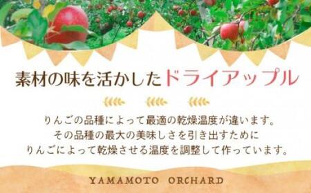 【先行予約 2026年9月中旬～発送】飛騨産干しりんご 40g×9袋 ドライフルーツ | 無糖 ドライフルーツ MA007