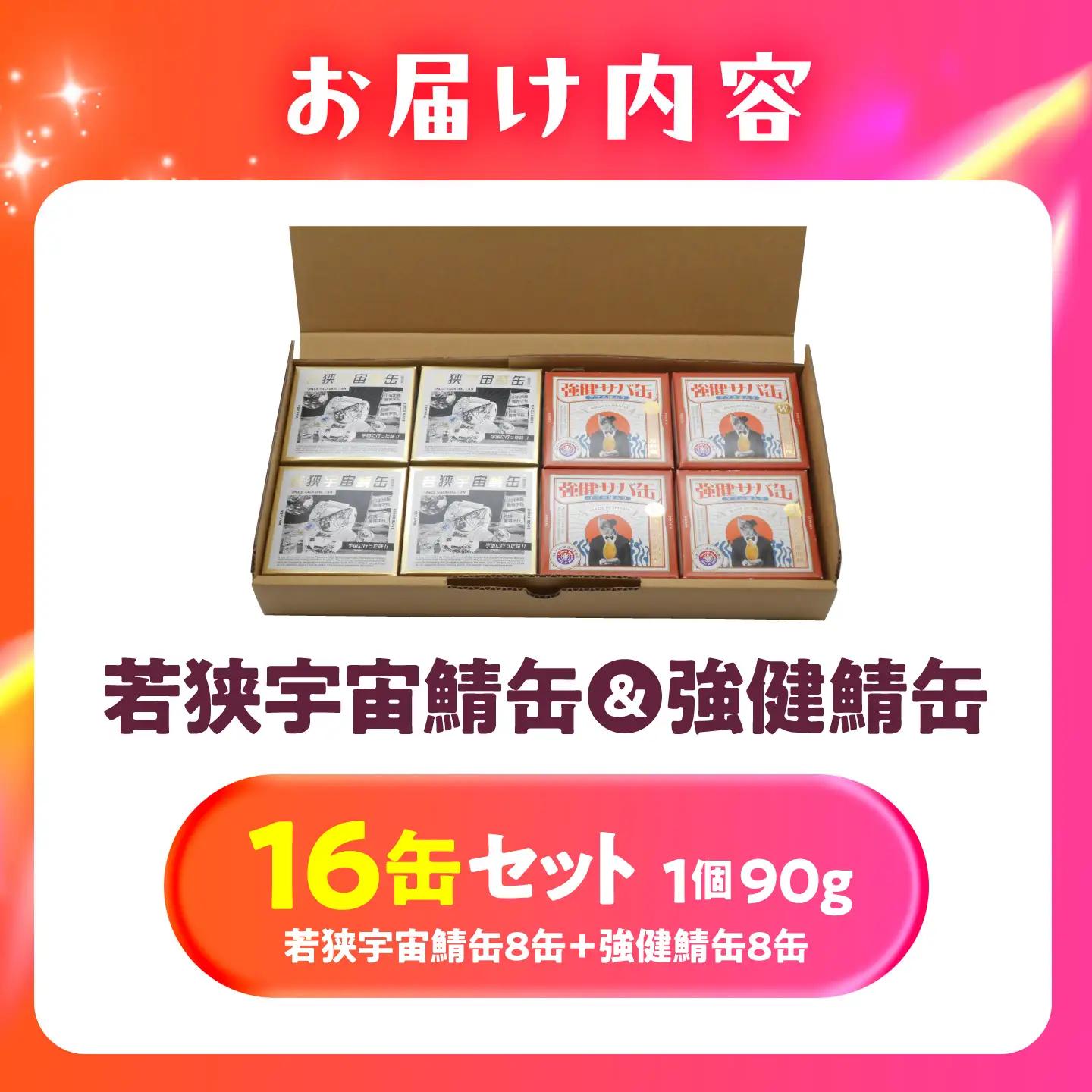 若狭宇宙鯖缶＆強健サバ缶アマニ油入り 食べ比べ16缶セット / サバ缶 鯖缶 宇宙日本食 アマニ油 オメガ3 保存食 小浜市 / 福井缶詰[BFAB082]