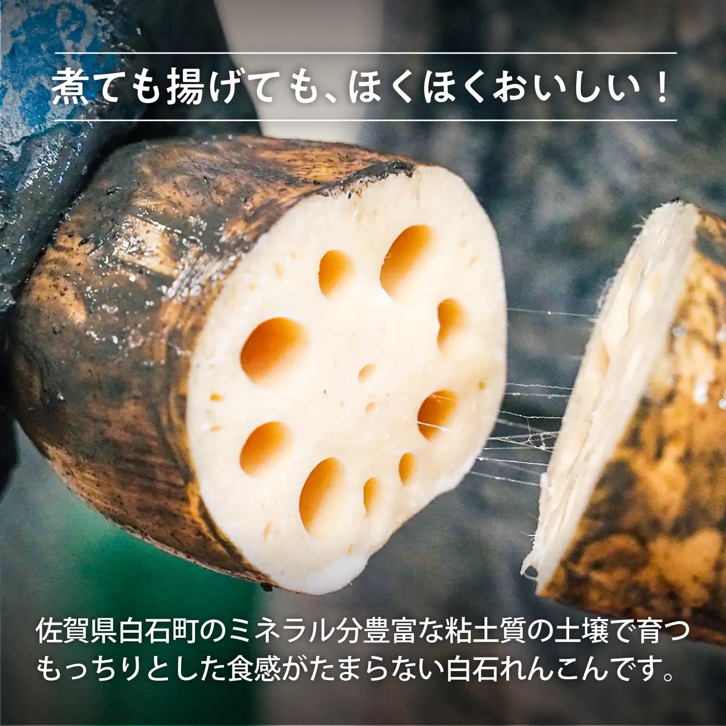 年末発送 泥付きれんこん3kg / れんこん 先行予約  [IAW003]