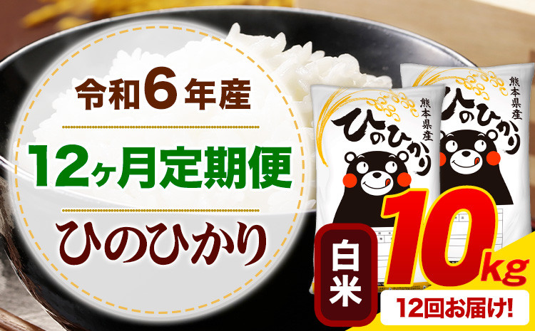 【12ヶ月定期便】令和6年産 新米 白米 ひのひかり 定期便 10kg《申込み翌月から発送》令和6年産 熊本県産 ふるさと納税 精米 ひの 米 こめ ふるさとのうぜい ヒノヒカリ コメ お米