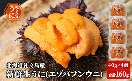 礼文産 新鮮生うに エゾバフンウニ 40g×4 うに