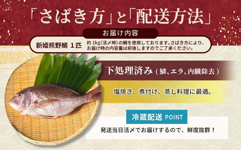 <テレビで紹介されました> 配送日指定可 新姫 熊野鯛 下処理済み 一匹 【冷蔵】 鯛 タイ 刺身 お刺身 さしみ 真空 海鮮 魚介 鮮魚 養殖  寿司 お寿司 塩釜焼き 塩焼き しゃぶしゃぶ 鯛しゃ