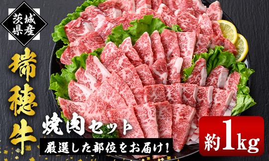 
            瑞穂牛焼肉セット 1.0Kg 牛肉 やきにく バラ 肩ロース 肩 肩バラ トモサンカク イチボ ブランド牛 冷凍配送 茨城県 お中元 焼肉の日 敬老の日 常陸牛 焼肉 盛り合わせ 食べ比べ 国産 肉 BBQ セット ho0903
          