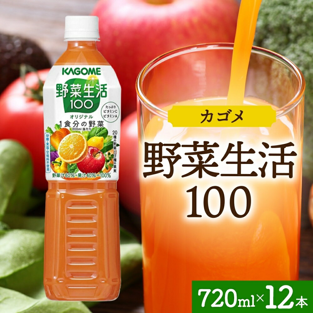 【ふるさと納税】野菜生活100 オリジナル 720mlPET×12 栃木県 那須塩原市 ペットボトル 野菜 果実 オリジナル ミックスジュース β-カロテン フルーティー KAGOME 送料無料