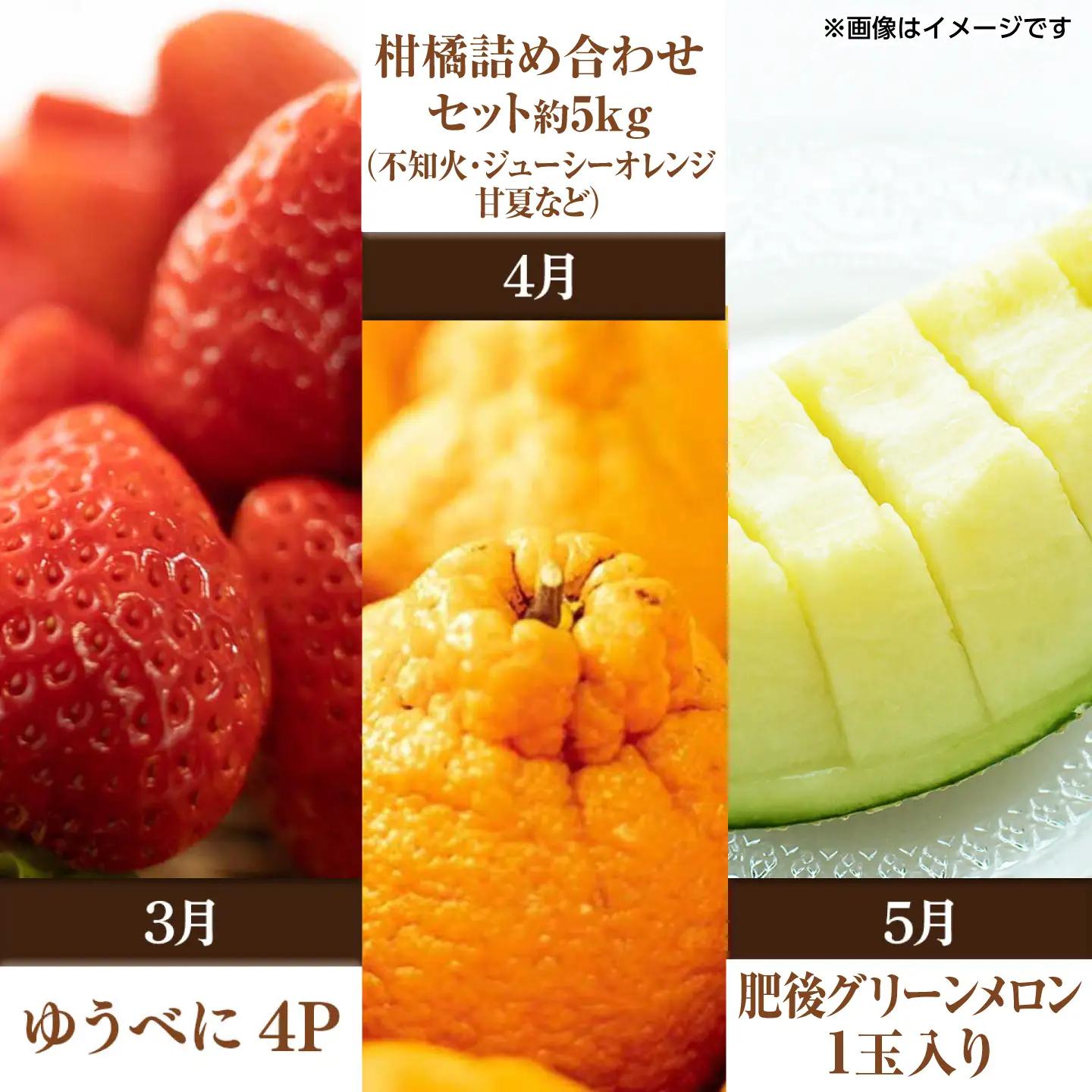 【先行予約】【全10回定期便】 プロが選ぶ！ 旬 の 果物 10ヶ月 定期便【くまふる】[ZBG086]