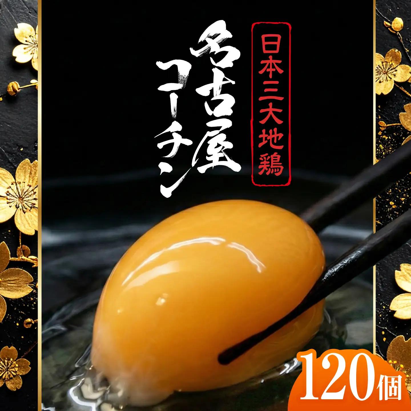 名古屋コーチン 卵 120個（10個入×12パック）（保証20個含） / 卵 たまご 玉子 鶏卵 名古屋コーチン / 稲沢市 / 櫛田養鶏場 [BMAY002]