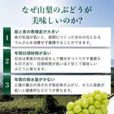 【農林水産大臣賞受賞!!】シャインマスカット 2房 1kg以上【配送不可地域：離島】
