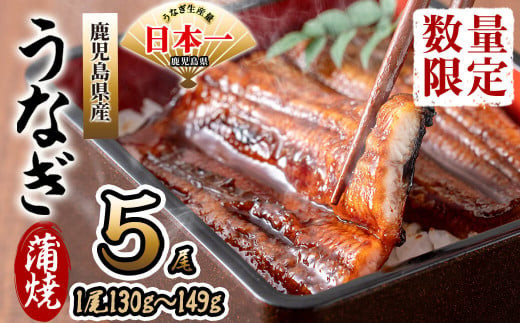 
            鹿児島県産 伊崎田のうなぎ蒲焼 ＜130g以上＞× 5尾(計650g以上) うなぎ 鰻 ウナギ 国産 鹿児島県産 九州産 蒲焼き 冷凍 うな重 ひつまぶし b8-033
          