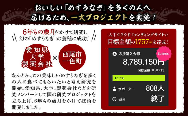 一色産めすうなぎ無頭長蒲焼2尾（300g）・I059-17