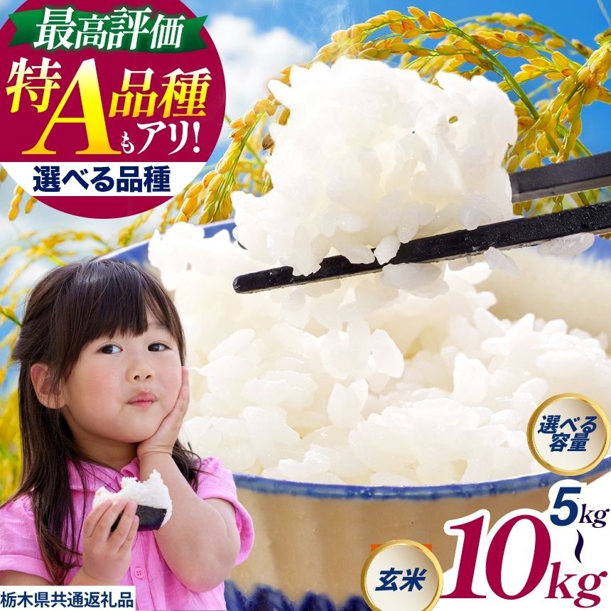 【ふるさと納税】【数量限定！】お米 玄米 こしひかり ミルキークイーン 選べる品種 選べる容量 | 米 こめ コメ 玄米 コシヒカリ ミルキークイーン こしひかり 5kg 10kg | 数量限定 人気 栃木県 真岡市 送料無料 栃木県共通返礼品