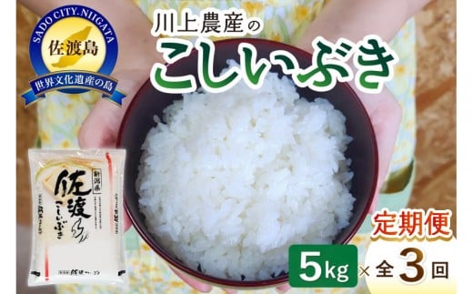 令和7年産 佐渡 川上農産のこしいぶき 定期便（5kg×全3回）