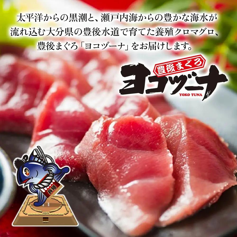 本マグロ ヨコヅーナ 訳あり端材 500g | 本マグロ