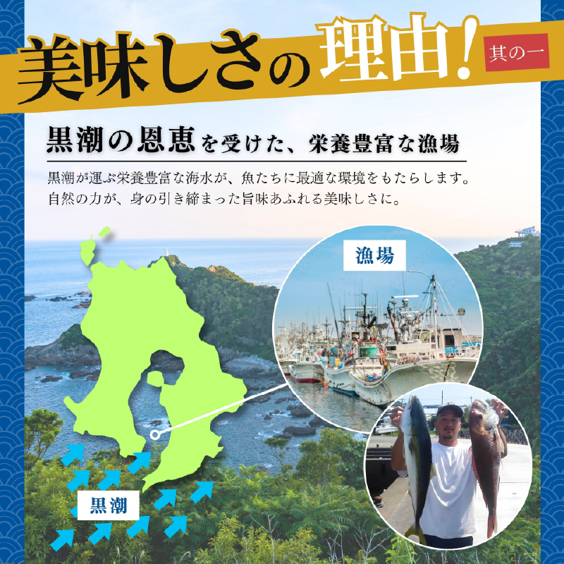 鹿屋市産 かんぱち 胡麻醤油漬け 海鮮丼セット 8食分　KN097-005-03