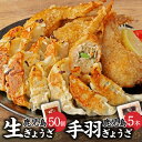 【ふるさと納税】鹿児島生ぎょうざ50個と鹿児島手羽ぎょうざ5本セット 餃子のタレ1本付き まるしょう 手羽先餃子 ぎょうざ 生ぎょうざ 生餃子 手羽餃子 ギョーザ 茶美豚 鹿児島県産 おつまみ 冷凍 送料無料 味処まるしょう 鹿児島県 薩摩川内市 送料無料