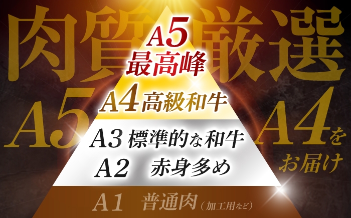 最高級ブランド佐賀牛の切り落としで、極上なひとときを。