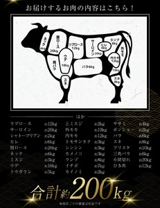 【茨城県共通返礼品】常陸牛 一頭 コンシェルジュ 縦横無尽プラン（チケット） オーダーチケット 1枚 オーダーカット 肉 お肉 牛肉 唯一無二のプラン 最大100件まで発送可能 贈答用発送可 ブランド