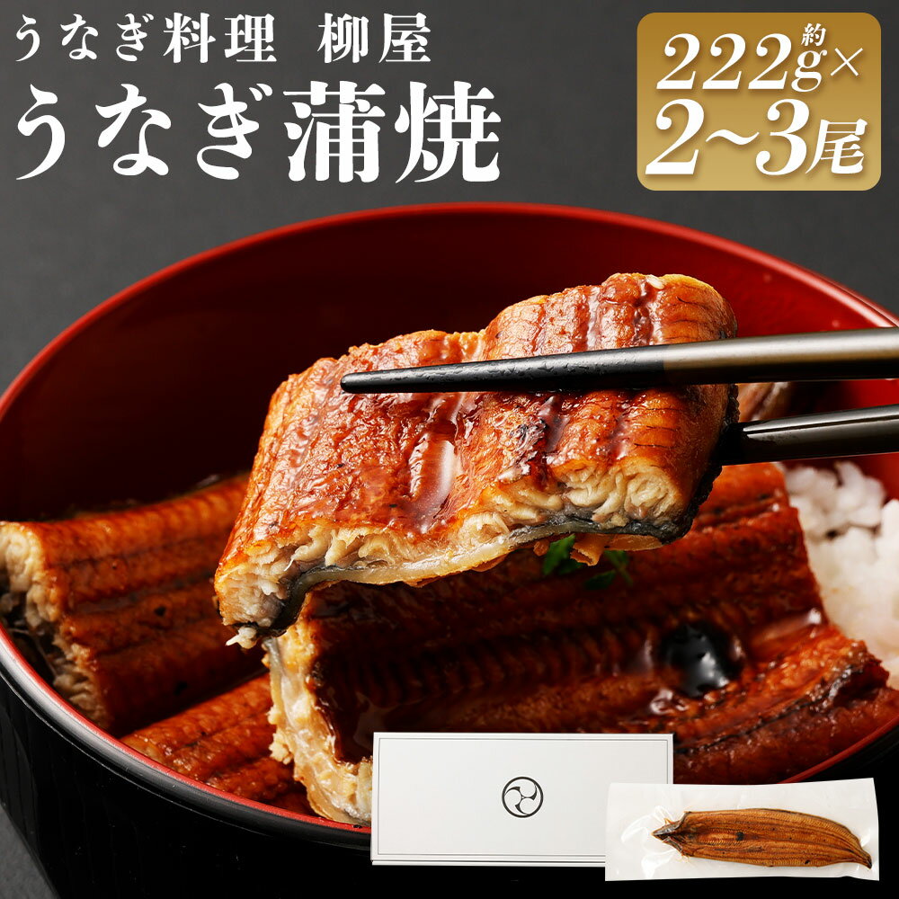 【ふるさと納税】＜選べる内容量＞「うなぎ料理　柳屋」 うなぎ蒲焼 計444g（222g×2尾）・計666g（222g×3尾） タレ・山椒付き 鰻 ウナギ かば焼き 惣菜 魚介類 たれ サンショウ 真空パック 冷凍 中国産 福岡県 筑後市 送料無料