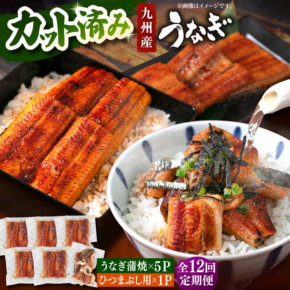 【ふるさと納税】【全12回定期便】 うなぎの蒲焼 約80g×5Pとひつまぶしの贅沢セット ▼ うなぎ 鰻 ウナギ 蒲焼 蒲焼き ひつまぶし 定期便 桂川町/山水商事[ADAH028]