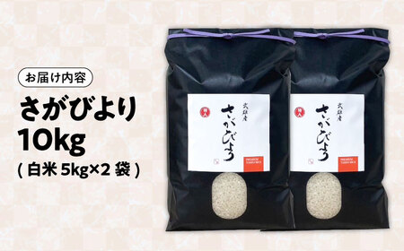 【14年連続特A評価】武雄市産 さがびより 10kg（5kg×2袋） /株式会社 y’s company[UDX017]